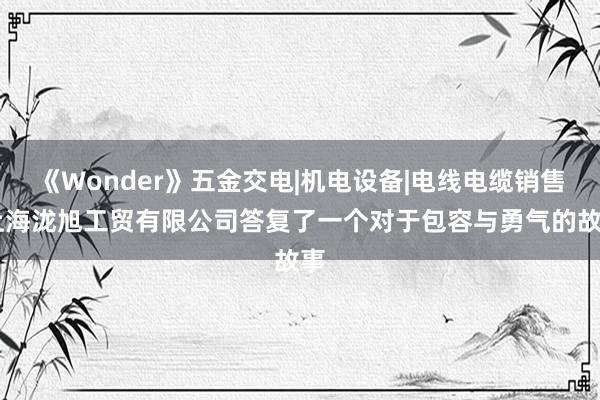《Wonder》五金交电|机电设备|电线电缆销售|上海泷旭工贸有限公司答复了一个对于包容与勇气的故事